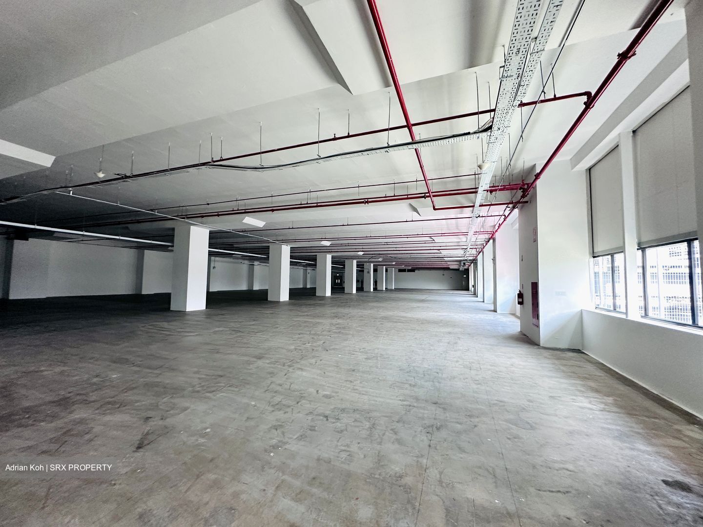 Serangoon North Avenue 5 (D19), Factory #449684951